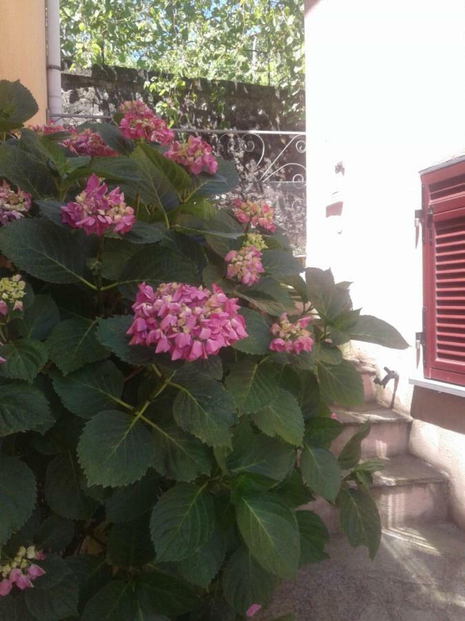 Monolocale Per Coppia Apartamento Carrodano Inferiore Exterior foto